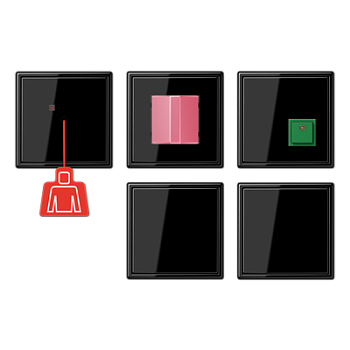 JUNG Аварийная система с ИБП, чёрный NRSLS0834-2SW