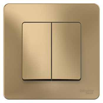 Systeme Electric Blanca внутр Титан Выключатель 2-клавишный, 10А, 250B