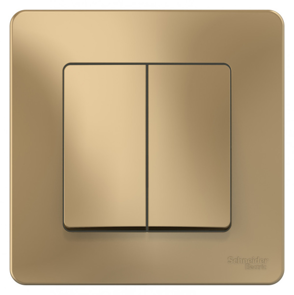 Systeme Electric Blanca внутр Титан Переключатель 2-клавишный, 10А, 250B