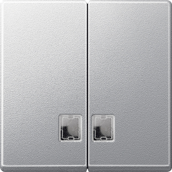 SE Merten SM Алюминий Две Клавиши с бесцветным прямоугольным окошком для световой индикации MTN437560