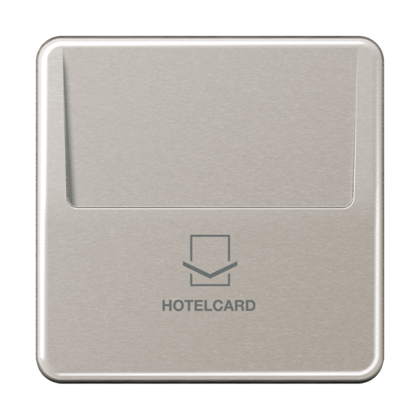 JUNG Накладка-картодержатель для балансирных механизмов 531U, 532U, 533U, 534U термопласт платина CD500 CD590CARDPT-L