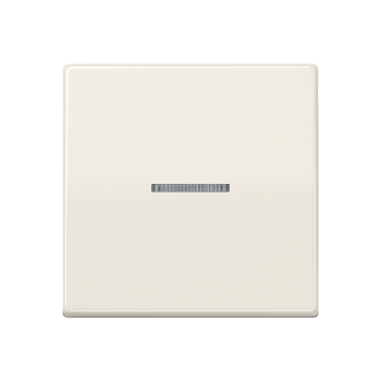 JUNG AS 500 Бежевая Клавиша 1-ая с/п антибактериальная ABAS591KO5