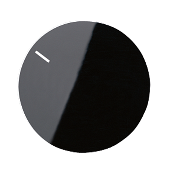 JUNG Специальная накладка, чёрный MSTR231SW