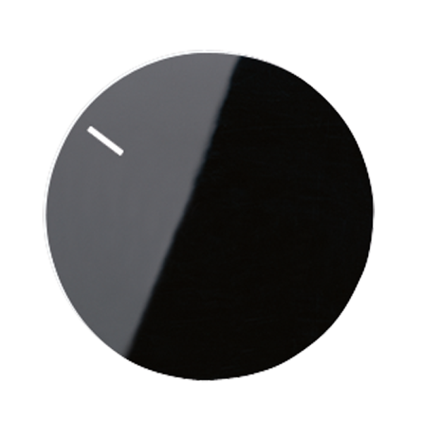 JUNG Специальная накладка, чёрный MSTR231SW