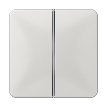 JUNG 2-клавишная накладка для пульта КNX, светло-серая, для серии СD CD402TSALG