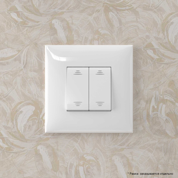 Купить DKC Инвертор двухклавишный в стену, "Avanti", "Белое облако"