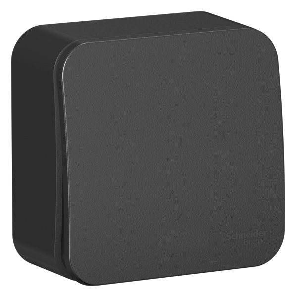 Купить Systeme Electric Blanca наруж Антрацит Выключатель 1-клавишный, 10А, 250B