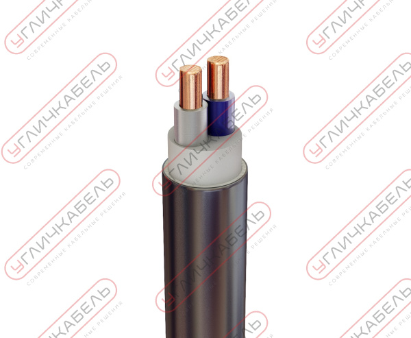 Кабель силовой ПвВГнг(А) -LS 2х10 ок(N)-1 Угличкабель PLLS5120100110000000