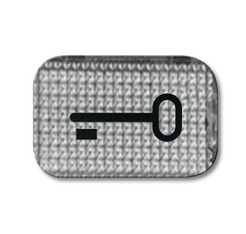 ABB Линза прозрачная с символом "КЛЮЧ" 2CKA001714A0237