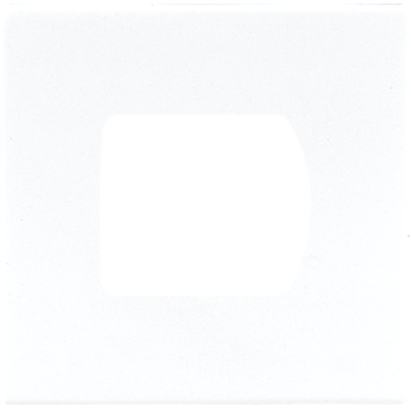 JUNG Крышка для системы "Ackermann" LS189AWW