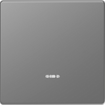 SE Merten D-Life Нержавеющая Сталь Клавиша 1-ная с линзой для LED модуля MTN3320-6036