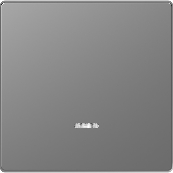 SE Merten D-Life Нержавеющая Сталь Клавиша 1-ная с линзой для LED модуля MTN3320-6036