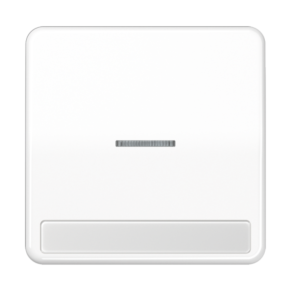 JUNG CD 500/CD plus Белая Клавиша 1-ая с/п с полем для надписи CD590NAKO5WW