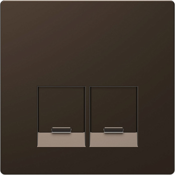 SE Merten D-Life Мокко Накладка центральная для 2-х модульных разъемов, пол. д/надписи MTN4572-6052