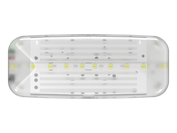 Купить Белый свет Аварийный светильник BS-JUNIOR-51-L1-INEXI2 a16783