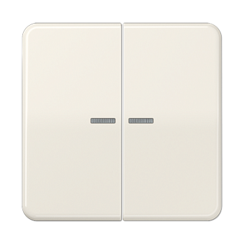 JUNG Клавиша для KNX кнопки, 2 группы с окошком дюропласт слоновая кость CD102KO5