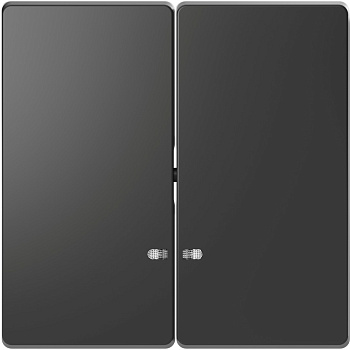 SE Merten D-Life Антрацит Клавиша 2-ная с линзой для LED модуля MTN3420-6034