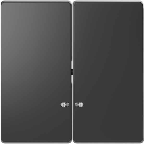 SE Merten D-Life Антрацит Клавиша 2-ная с линзой для LED модуля MTN3420-6034
