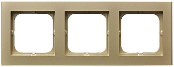 Ospel Sonata Шампанский золотой Рамка 3-ая R-3R/39