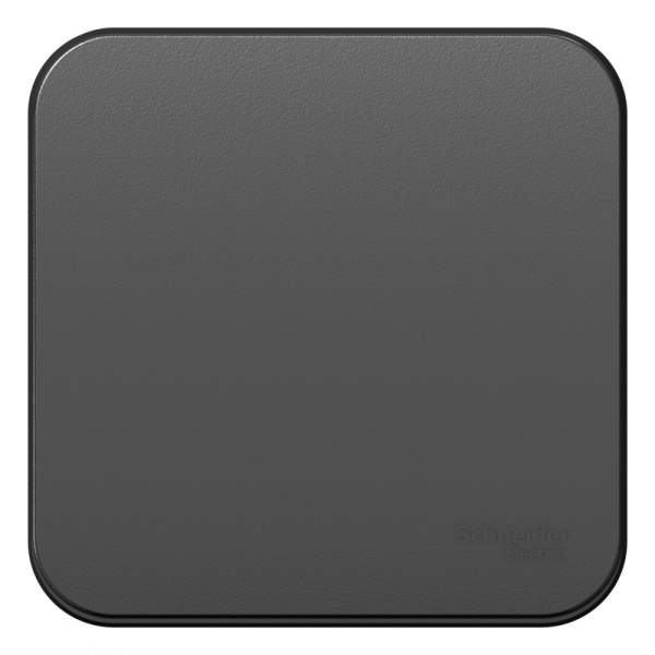 Systeme Electric Blanca наруж Антрацит Переключатель 1-клавишный 10А, 250B, изолир. пластина