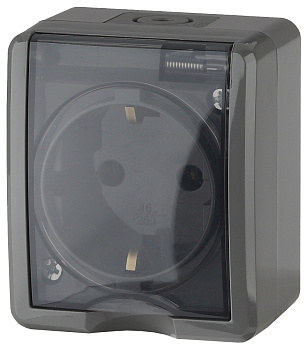 ЭРА 11-2401-03 Эксперт Серый Розетка с/з ОУ IP54