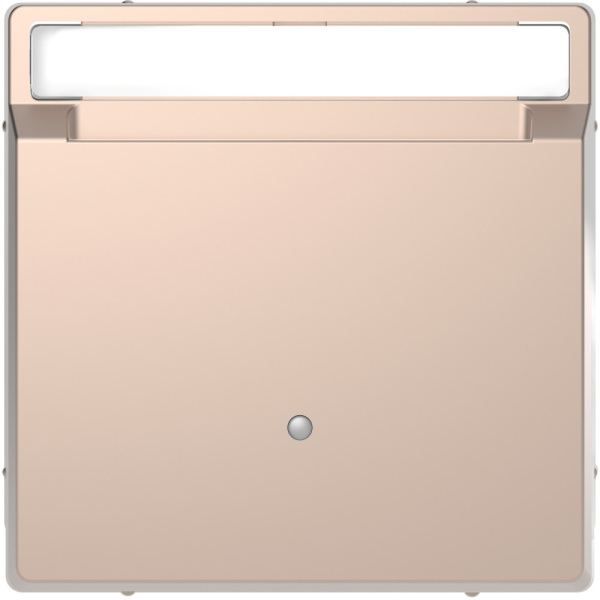 SE Merten D-Life Шампань Выключатель с ключюм-картой д/гостиниц MTN3854-6051