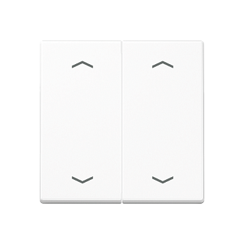 JUNG Клавиша для выключателя, белый A595BFMPWW