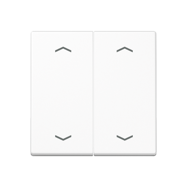 JUNG Клавиша для выключателя, белый A595BFMPWW