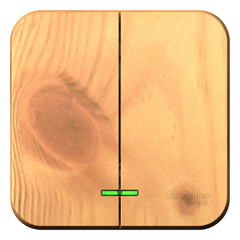 Systeme Electric Blanca наруж Ясень Выключатель 2-клавишный , 10А, 250B