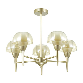 Lumion 4446/5C LN20 156 матовое золото, стекло Люстра потолочная E14 5*40W 220V LIZBETH