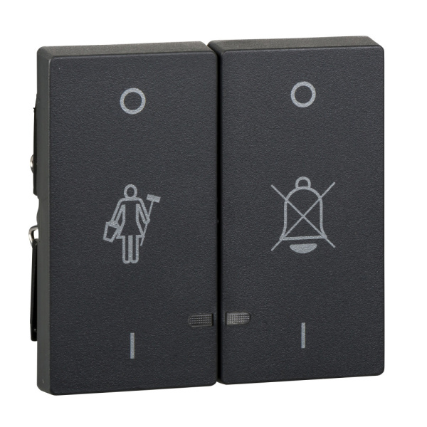 SE Merten SM Антрацит Две Клавиши "перечеркнутый звонок", "горничная" с окошком для свет. индикации MTN3429-0414