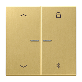 JUNG Таймер универсальный Bluetooth «стрелки», латунь Classic ME1751PBTC