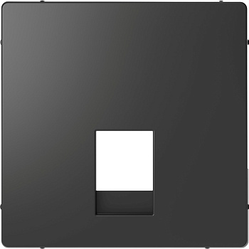 SE Merten D-Life Антрацит Накладка центральная для розетки 2-ной RJ11/RJ12 MTN4215-6034