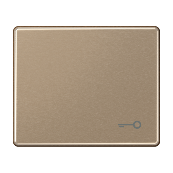 JUNG SL 500 Бронза Клавиша 1-ая с символом КЛЮЧ SL590TGB