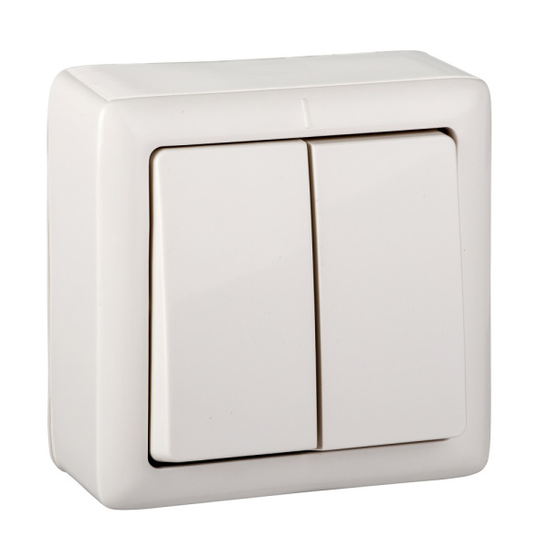 Systeme Electric Wessen ХИТ наруж Бел Выключатель 2-клавишный с изолирующей пластиной 6А, 250В