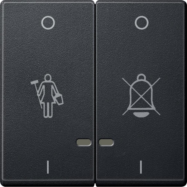 Купить SE Merten SM Антрацит Две Клавиши "перечеркнутый звонок", "горничная" с окошком для свет. индикации MTN3429-0414