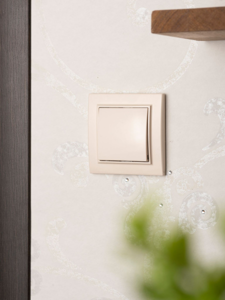 Купить EKF Basic Минск Бежевый Выключатель 1-кл, 10А, СП