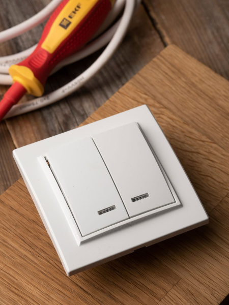 Купить EKF Basic Минск Белый Выключатель 2-кл с индикатором, 10А, СП