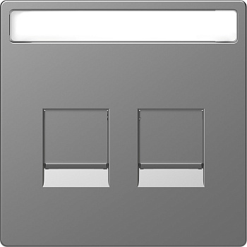 SE Merten D-Life Нержавеющая Сталь Накладка центральная для 2-х модульных разъемов MTN4564-6036