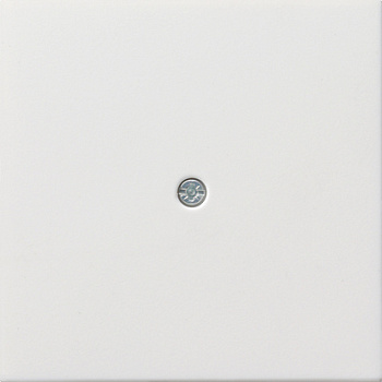 Gira F100 Бел глянц Накладка ввода кабеля 0274112