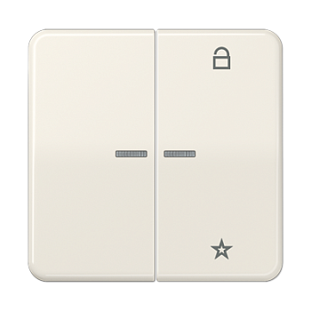 JUNG Центральная плата универсальная, слоновая кость CD1701