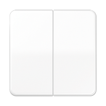 JUNG Клавиша для KNX кнопки, 2 группы дюропласт белый CD102WW