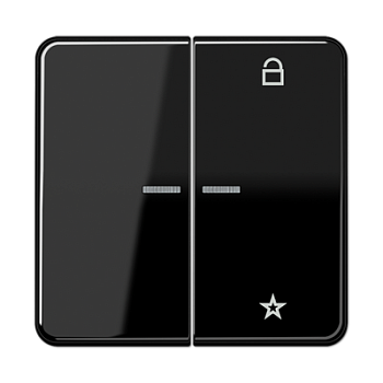 JUNG Центральная плата универсальная, чёрный CD1701SW