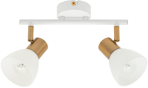 Arte Lamp FALENA Светильник потолочный лампа накаливания A3117PL-2WH