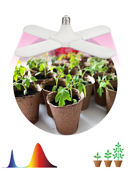 ЭРА Фитолампа для растений светодиодная FITO-36W-RB-E27-FOLD 4-х лепестковая красно-синего спектра 36 Вт Е27