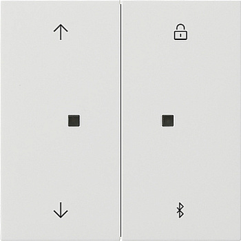 Gira Накладка управления жалюзи  с BT System 3000 5367112