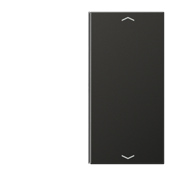 JUNG клавиша для выключателя 2 группы в сборе AL2402TSAPAN