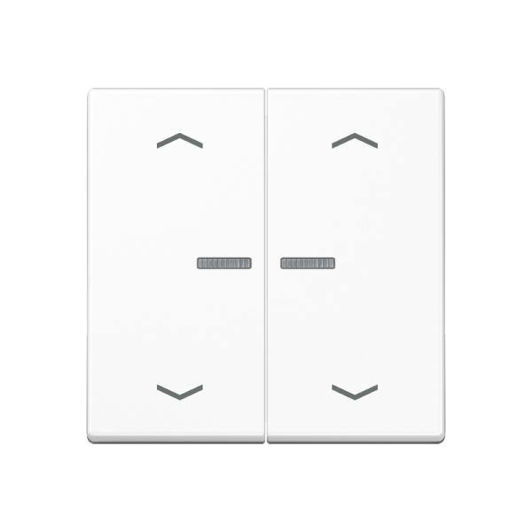 JUNG Клавиша для выключателя с подсветкой, белый A595BFKO5MPWW