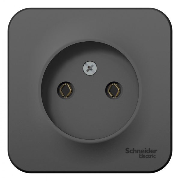 Systeme Electric Blanca наруж Антрацит Розетка б/з без шторок, 16А, 250В