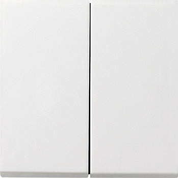 Gira F100 Бел глянц Выключатель 2-клавишный с самовозвратом в сборе 0125112